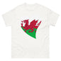 Dw i'n caru Cymru